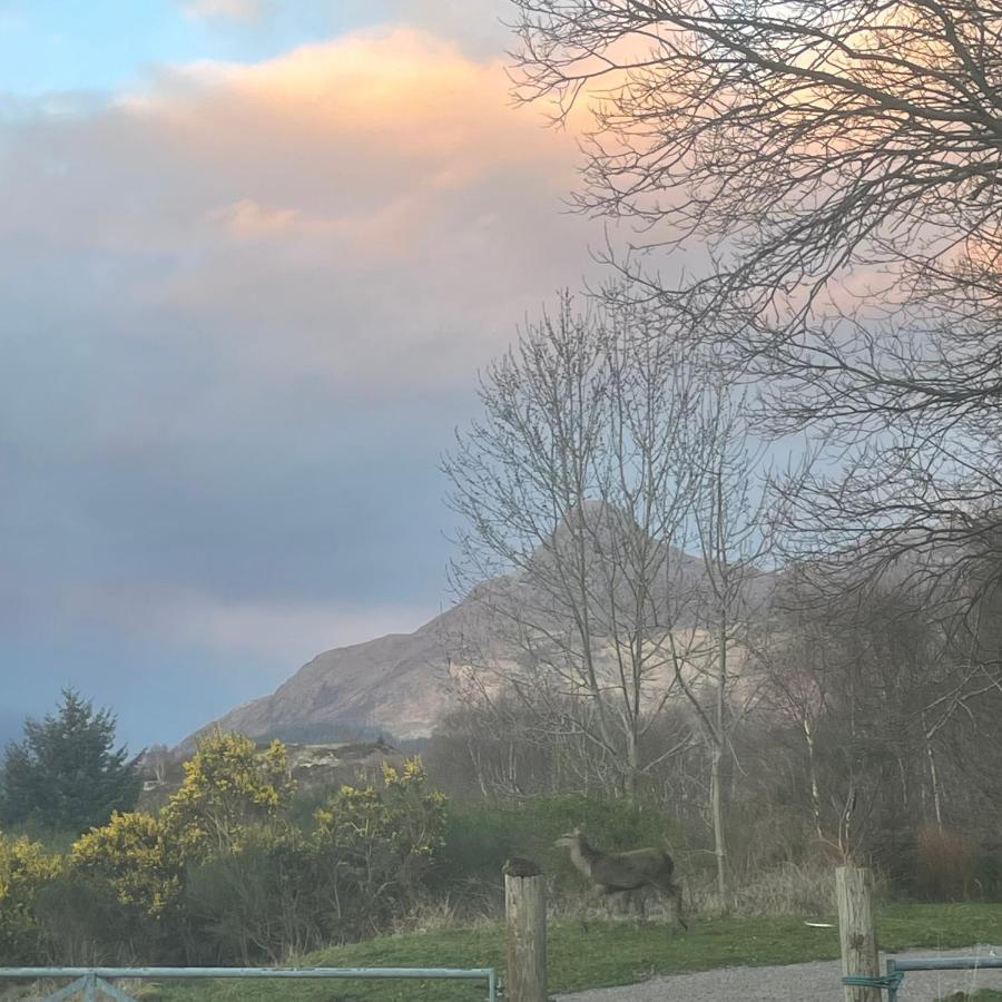 Craigavon Cottage Ballachulish Exteriör bild